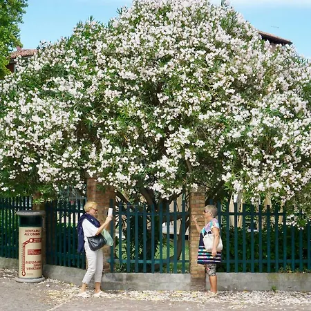 Veneziacentopercento Alle Ancore Appartamento Venezia
