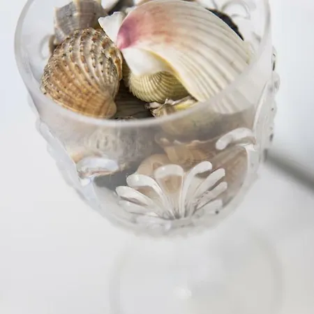 Appartamento Veneziacentopercento Alle Ancore *