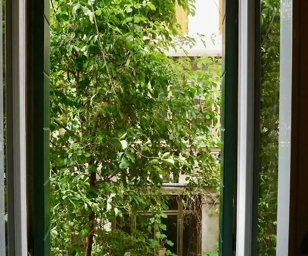 Veneziacentopercento Alle Ancore *